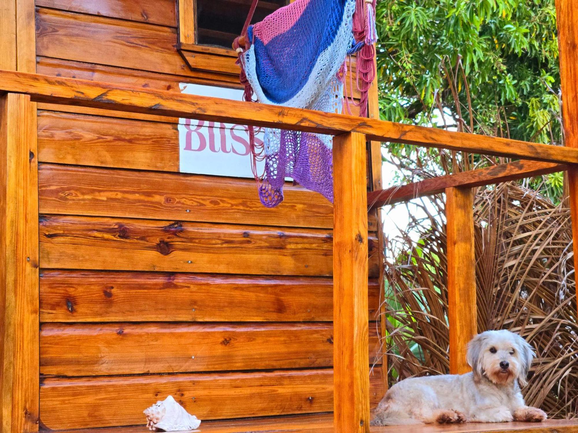 Hotel The Lighthouse Retreat, Little Corn Island, Nicaragua Extérieur photo